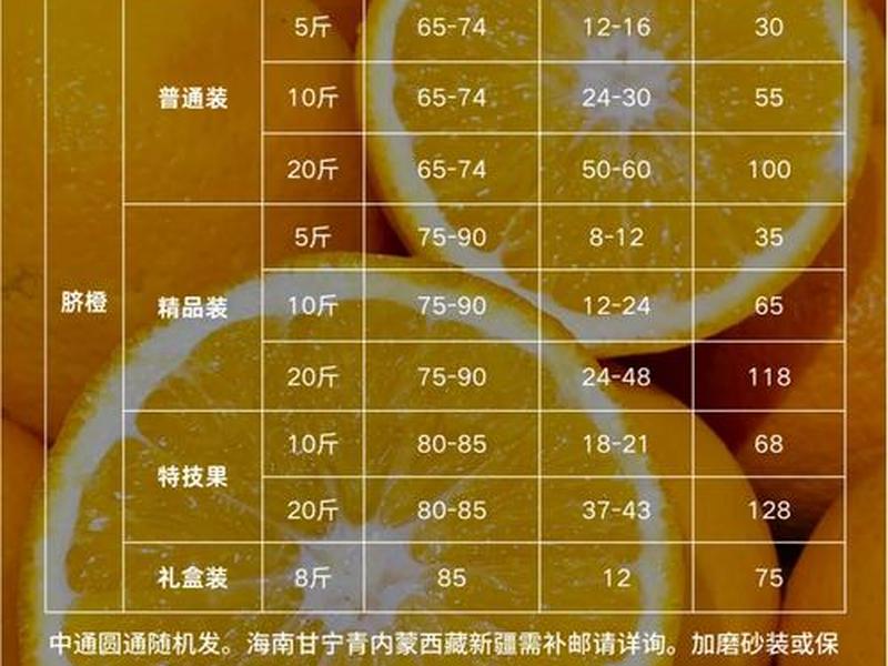 橙子建站新手入门教程;橙子建站官网价格 橙子建站新手入门教程;橙子建站官网价格