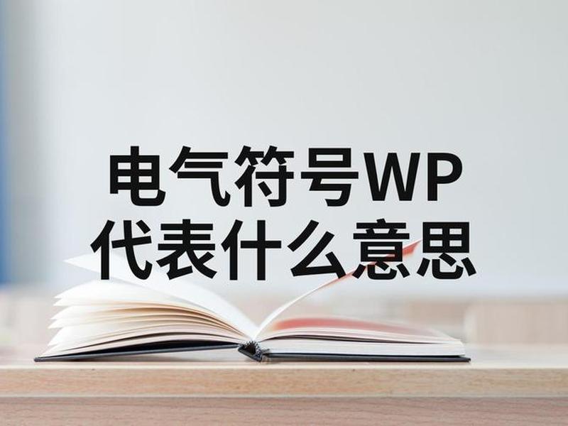 wp国外什么意思;国外wp是什么意思 wp国外什么意思;国外wp是什么意思