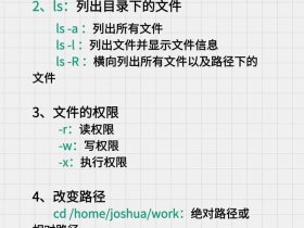 linux vi命令（linux vi命令怎么编辑文件和保存）