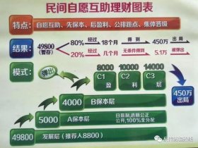 互助平台的运作模式 - 互助平台的运作模式包括