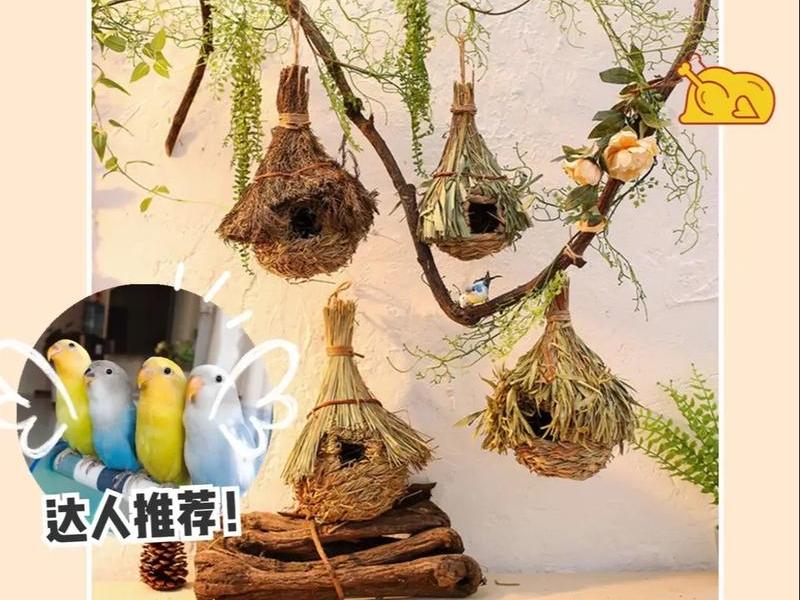 刺猬窝搭建教程,刺猬搭窝的过程 刺猬窝搭建教程,刺猬搭窝的过程