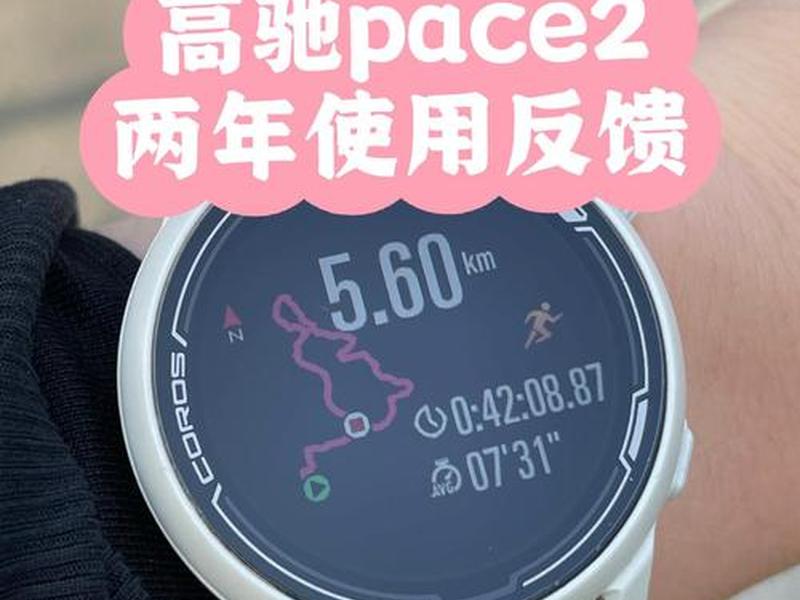 pace教程 - pace2使用教程