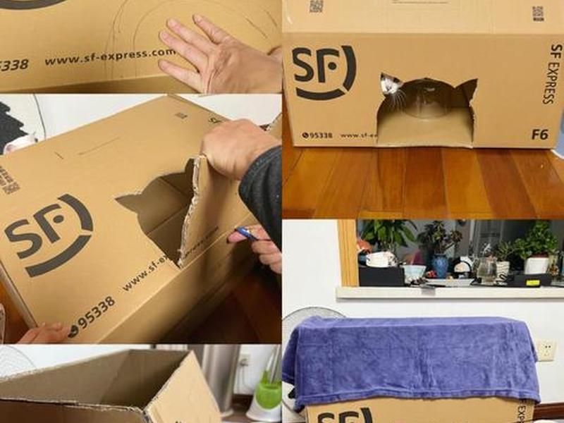 建造猫窝需要注意哪些要点;建造猫窝需要注意哪些要点呢 建造猫窝需要注意哪些要点;建造猫窝需要注意哪些要点呢