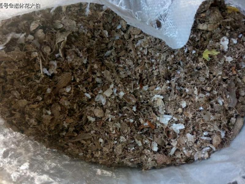 花生壳socket(花生壳可以做肥料吗) 花生壳socket(花生壳可以做肥料吗)