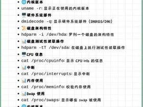 linux vi命令详解（linux vi命令详解菜鸟教学）