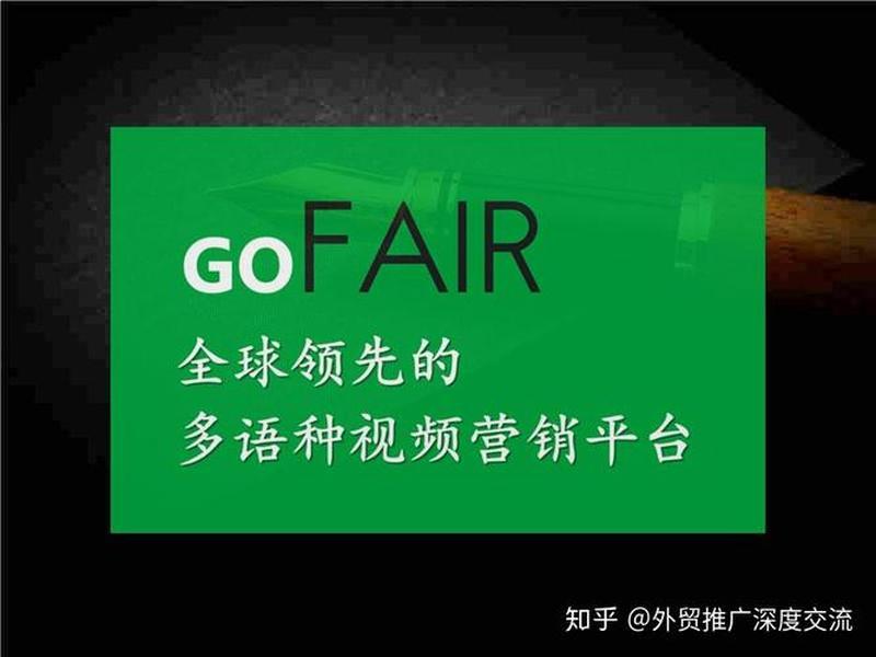 gofair官网网址；gofair网站是什么样的