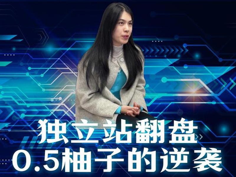 独立站赚钱了吗 - 独立站能赚钱吗 独立站赚钱了吗 - 独立站能赚钱吗