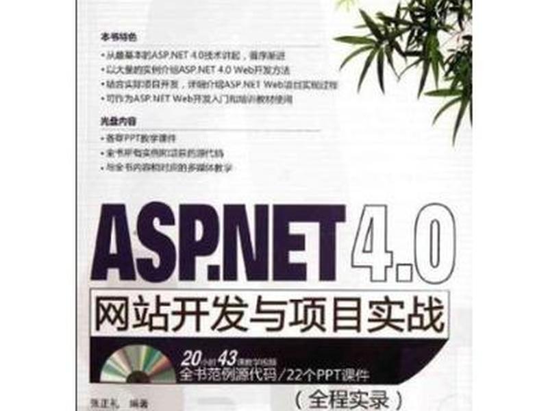 asp.net 4.0
