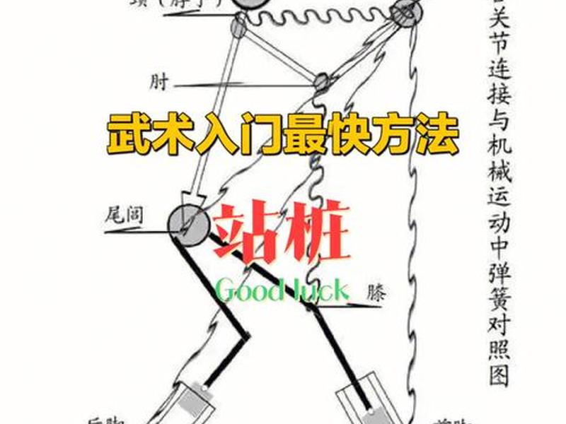 初学站桩的正确步骤是什么,初学站桩的正确方法视频 初学站桩的正确步骤是什么,初学站桩的正确方法视频