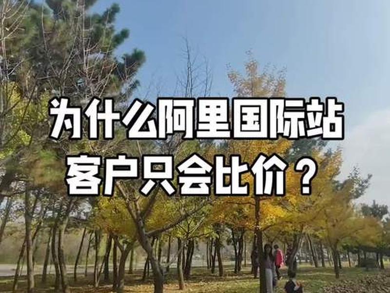 国际独立站建站详细步骤以及费用 - 独立站和国际站的区别 国际独立站建站详细步骤以及费用 - 独立站和国际站的区别