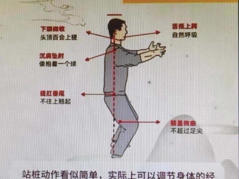 初学站桩入门教学(初学站桩入门教学方法) 初学站桩入门教学(初学站桩入门教学方法)