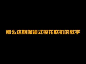 SakuraFrp功能介绍，sakurafrp功能介绍