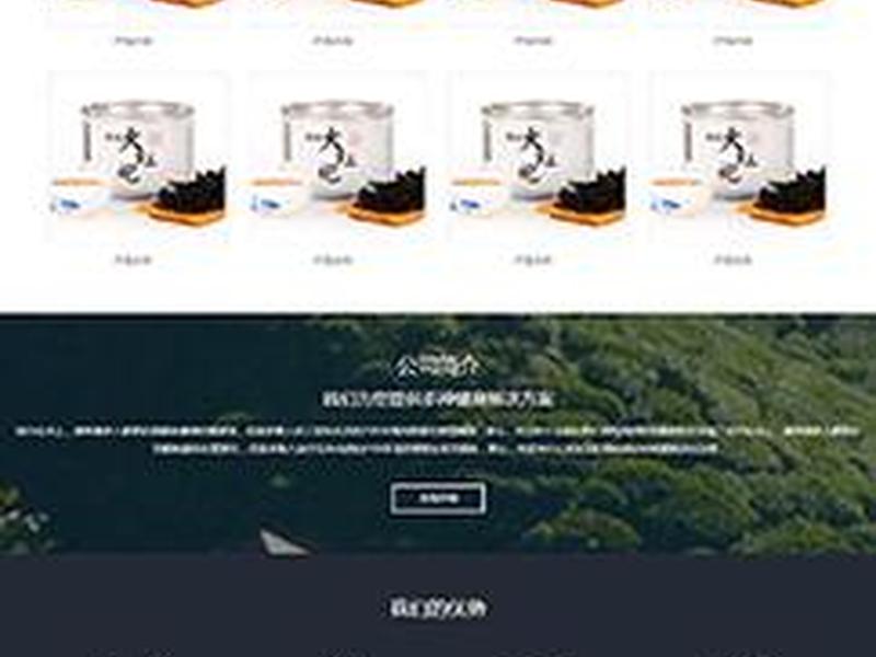 h5网站系统（h5制作的网站）