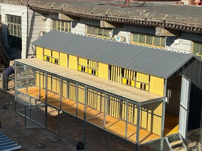 鸽棚如何搭建繁殖快,鸽棚如何搭建繁殖快一些 鸽棚如何搭建繁殖快,鸽棚如何搭建繁殖快一些