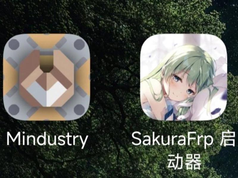 sakurafrp启动器下载；sakurafrp启动器下载不了