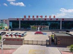 固原网页平台搭建公司 - 固原网站制作
