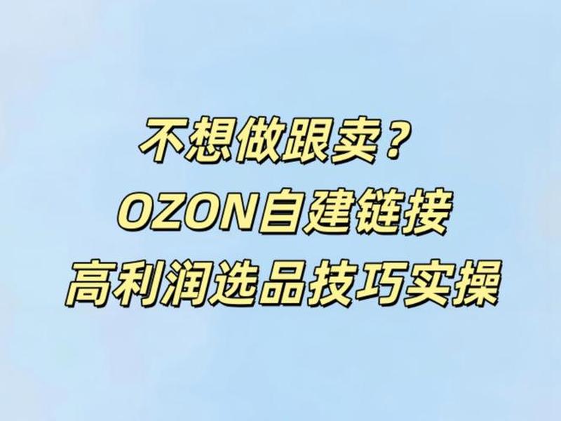 自建站选品教程pdf 自建站选品思路