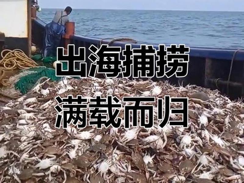 如何出海,如何出海捕鱼 如何出海,如何出海捕鱼