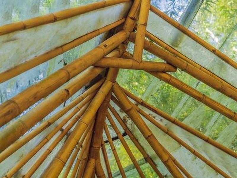 竹子搭建;竹子搭建的凉亭 竹子搭建;竹子搭建的凉亭