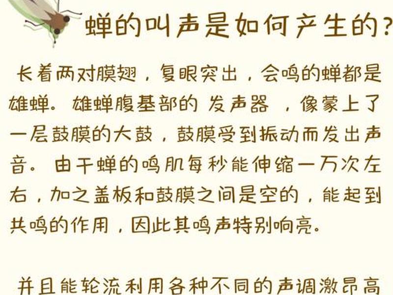 鸣蝉建站的好处 - 鸣蝉建站系统 鸣蝉建站的好处 - 鸣蝉建站系统