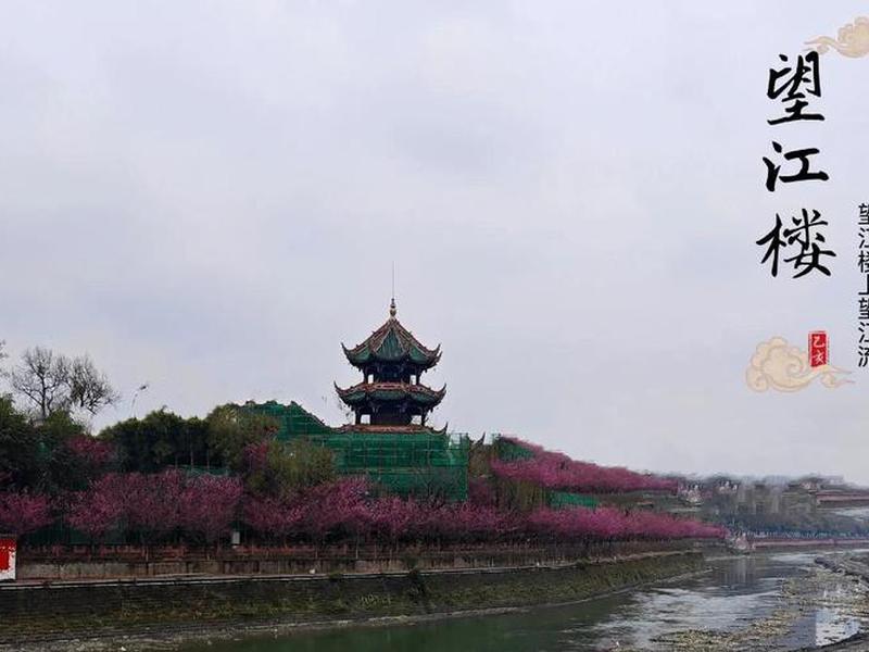 叶子搭建望江楼,叶子建造望江楼 叶子搭建望江楼,叶子建造望江楼