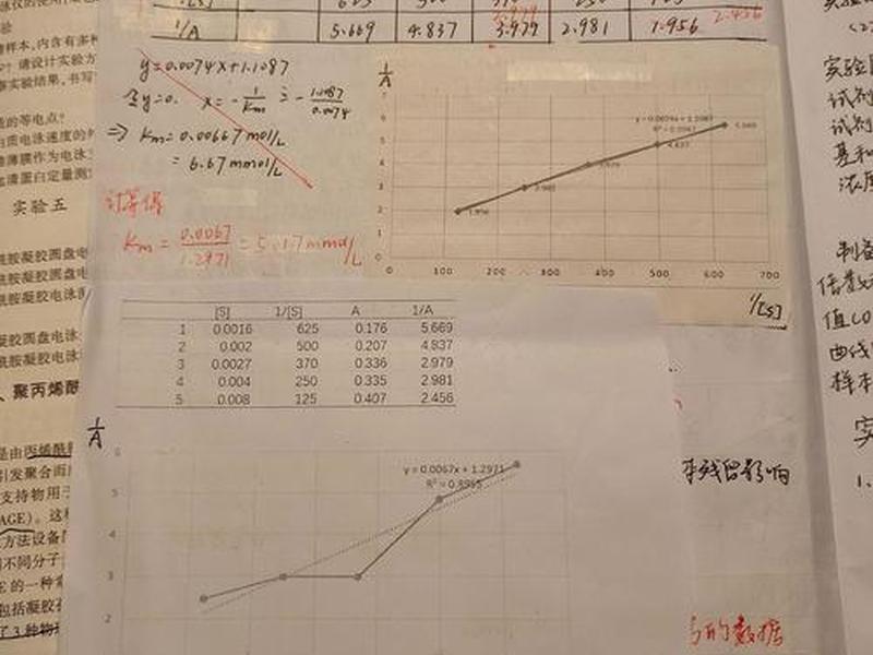 怎么建账并登记期初余额、建账登记期初余额实验报告 怎么建账并登记期初余额、建账登记期初余额实验报告