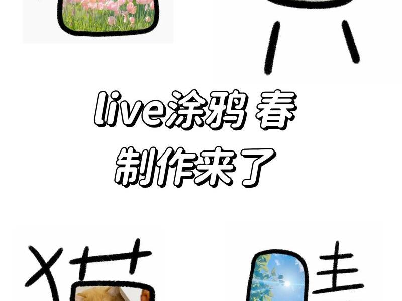 小P创作教程 小p创作教程 小P创作教程 小p创作教程