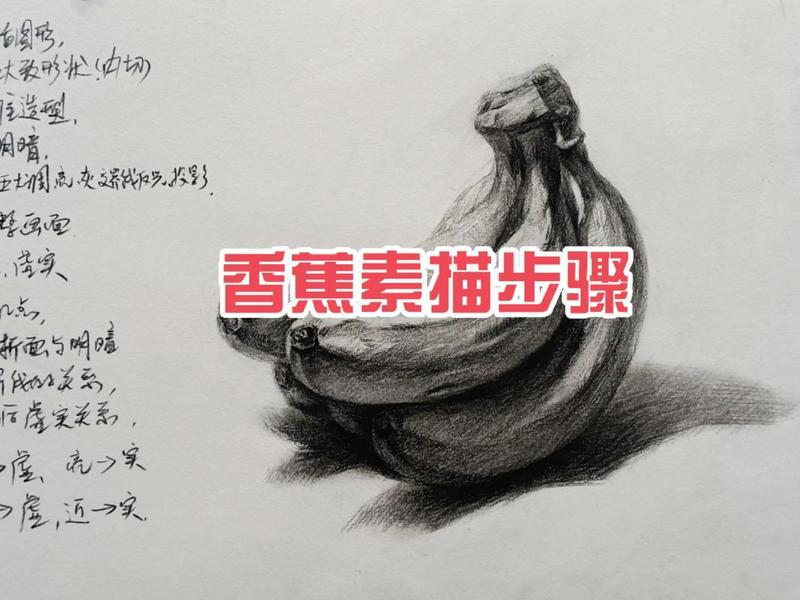 零基础快速学素描、零基础快速学素描的软件 零基础快速学素描、零基础快速学素描的软件