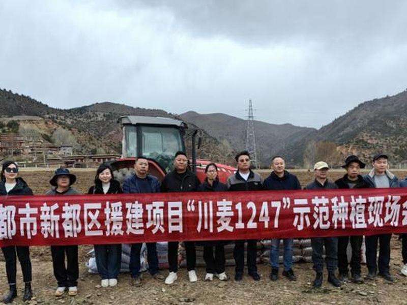 援建指导,援建啥意思 援建指导,援建啥意思