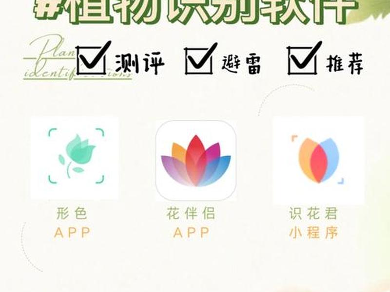 叶子app是干什么的,叶子app是干什么的软件 叶子app是干什么的,叶子app是干什么的软件