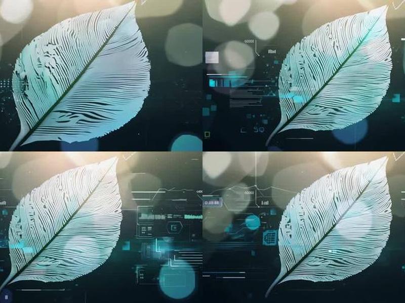 叶子科技下载 - 叶子科技下载app 叶子科技下载 - 叶子科技下载app