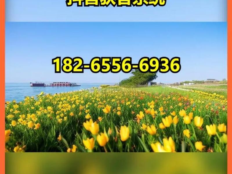 吐鲁番运营推广引流（吐鲁番运营推广引流公司）