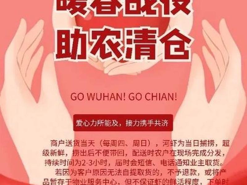 永宁网络推广方案 - 永宁网络推广方案公示 永宁网络推广方案 - 永宁网络推广方案公示