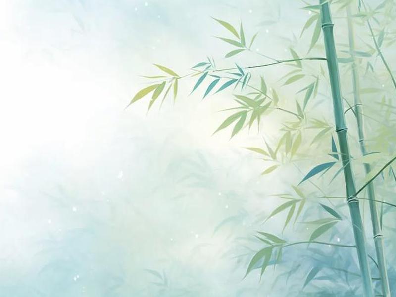 竹子ppt模板 竹子的ppt模板 竹子ppt模板 竹子的ppt模板