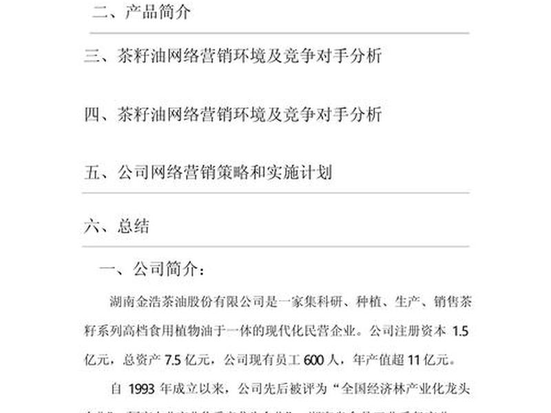 网络推广运营方案 网络推广运营方案怎么写 网络推广运营方案 网络推广运营方案怎么写