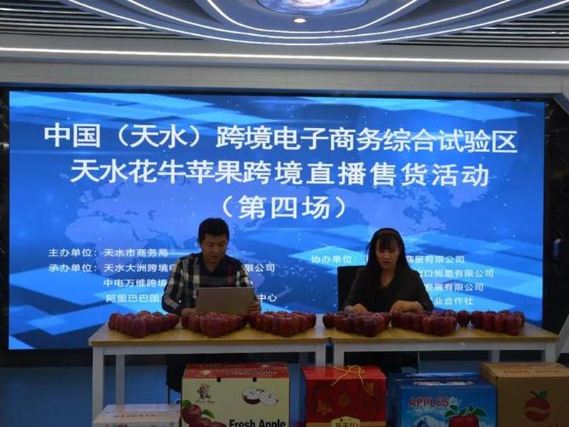 天水跨境电商平台运营 天水跨境电商平台运营公司 天水跨境电商平台运营 天水跨境电商平台运营公司