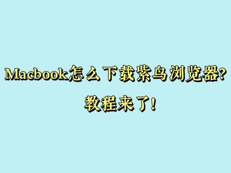 紫鸟网络搭建教程视频;紫鸟网络搭建教程视频讲解 紫鸟网络搭建教程视频;紫鸟网络搭建教程视频讲解