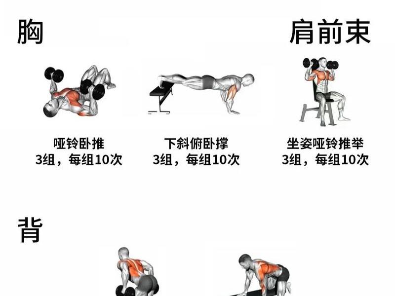 七天健身教程;七天健身教程视频全集 七天健身教程;七天健身教程视频全集