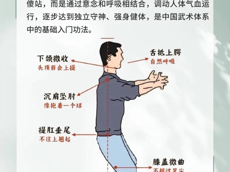 免费站桩视频教程,免费站桩视频教程在线观看 免费站桩视频教程,免费站桩视频教程在线观看