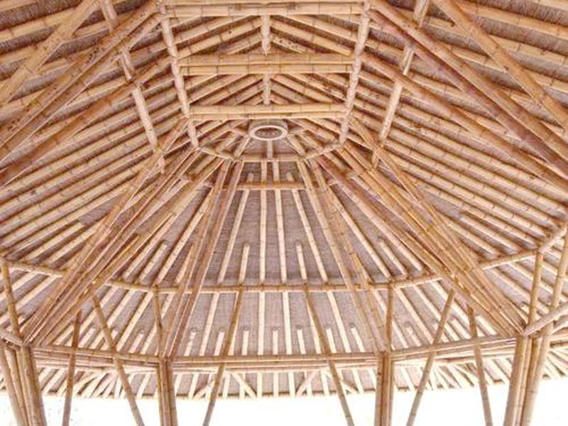 竹子搭建材料(竹子搭建材料有哪些) 竹子搭建材料(竹子搭建材料有哪些)