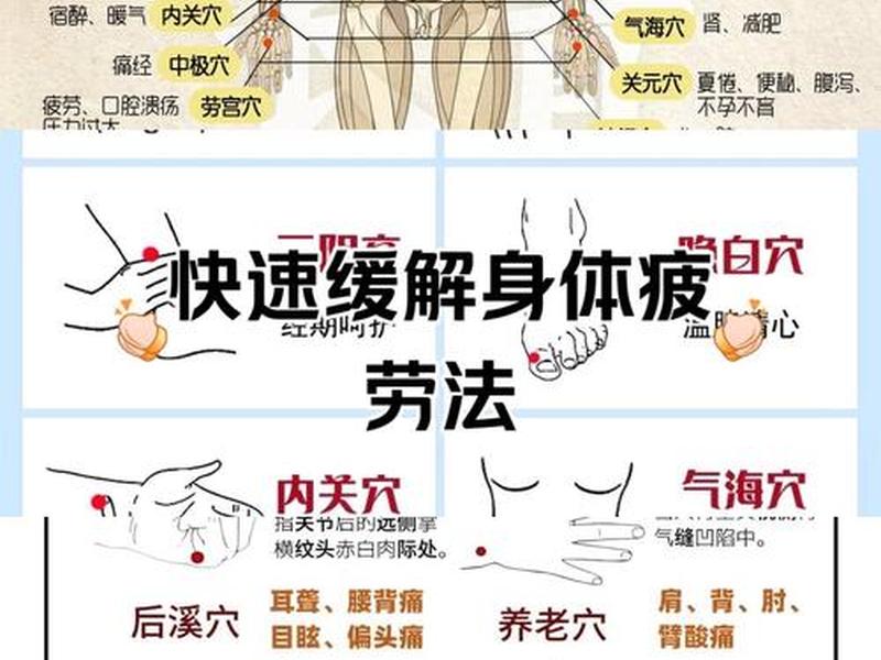 一分钟见效的中医穴位汇总;一分钟学中医全身穴位总结速记 一分钟见效的中医穴位汇总;一分钟学中医全身穴位总结速记