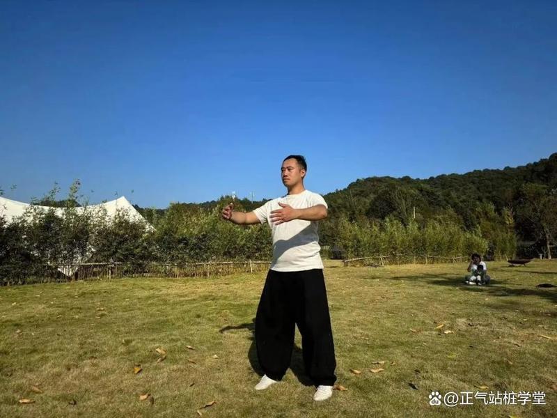 站桩视频全集播放,站桩视频全集播放下载 站桩视频全集播放,站桩视频全集播放下载