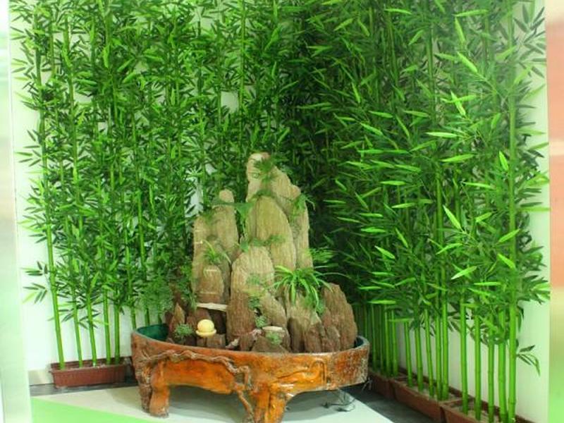 竹子建站小程序教程,竹子建房教程 竹子建站小程序教程,竹子建房教程