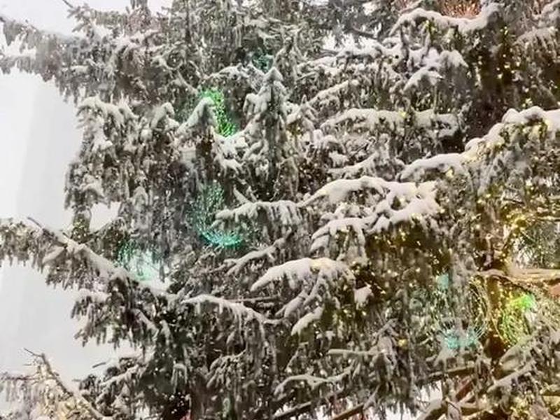 南方暴风雪是哪一年、南方暴风雪是哪一年发生的 南方暴风雪是哪一年、南方暴风雪是哪一年发生的