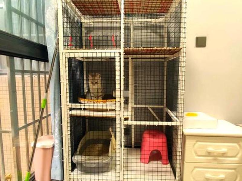 装修猫笼制作教程(装修猫笼制作教程视频) 装修猫笼制作教程(装修猫笼制作教程视频)