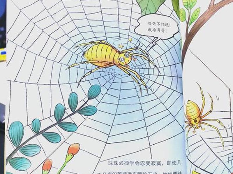 织网的方法图解视频 - 织网的方法图解视频讲解 织网的方法图解视频 - 织网的方法图解视频讲解