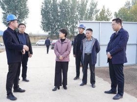 邹平app，邹平人才网