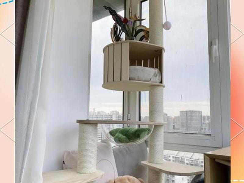 装修猫爬架教程 装修猫爬架教程视频 装修猫爬架教程 装修猫爬架教程视频