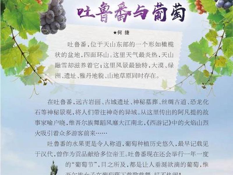 吐鲁番外贸视频、吐鲁番的视频介绍
