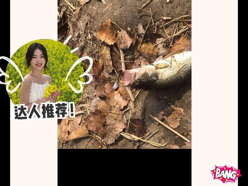 小旋风技巧教程、小旋风技巧教程图解 小旋风技巧教程、小旋风技巧教程图解